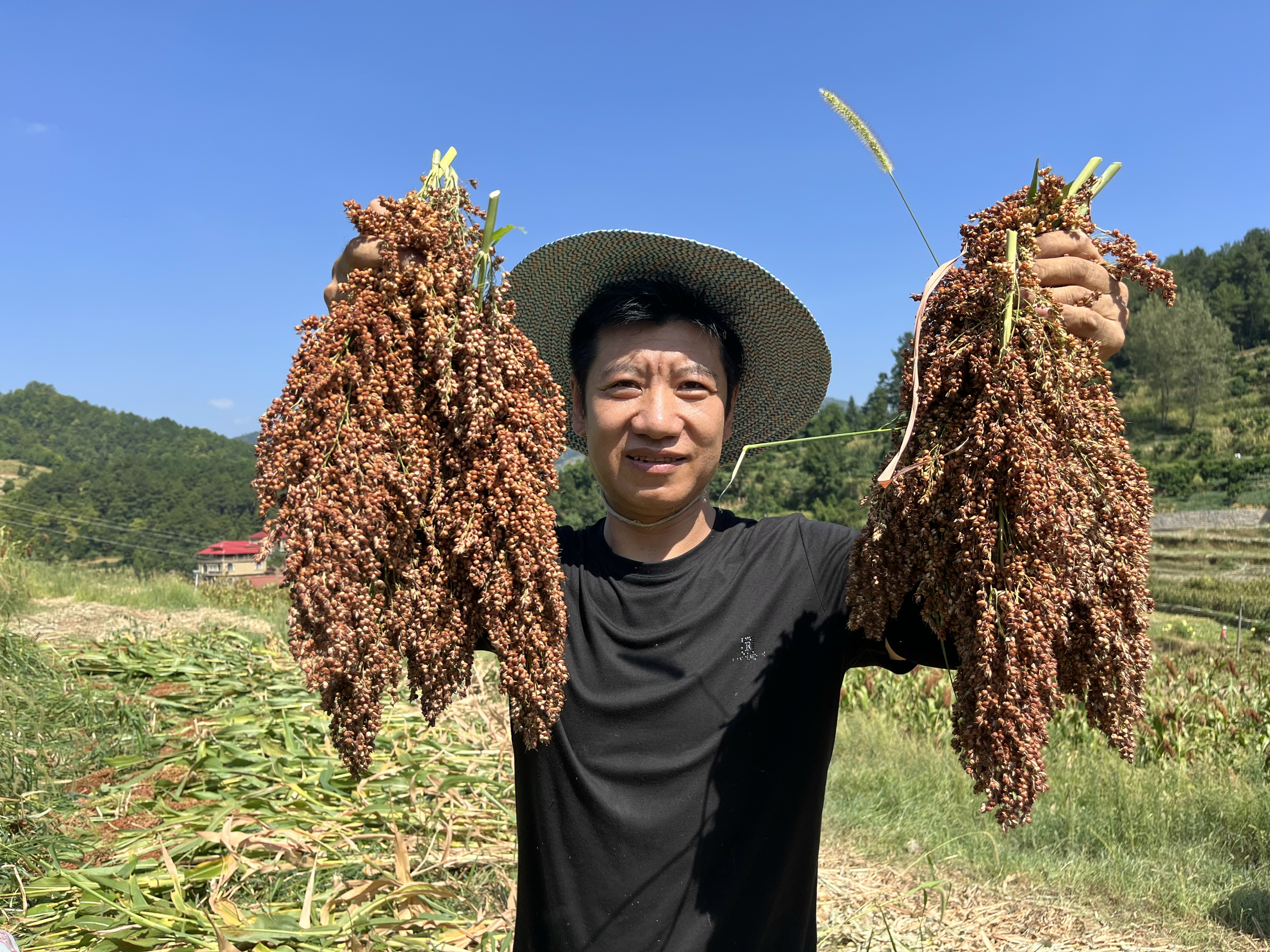 酱酒四大工艺分类口感是怎样的！