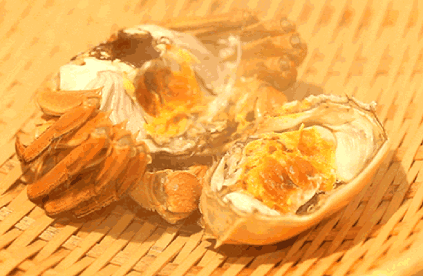 5.gif